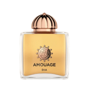 AMOUAGE DIA EDP 100mL - MC