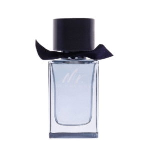 Burberry Mr Burberry Indigo EDT 100mL